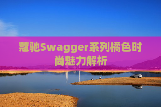 蔻驰Swagger系列橘色时尚魅力解析